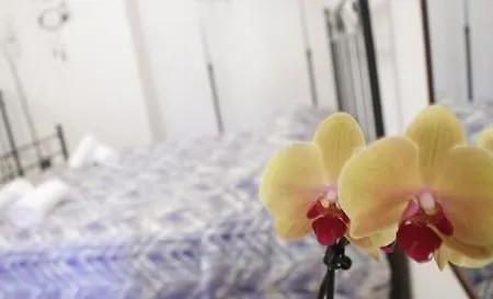 Fleur De Lis Plaza Alojamento de Acomodação e Pequeno-almoço