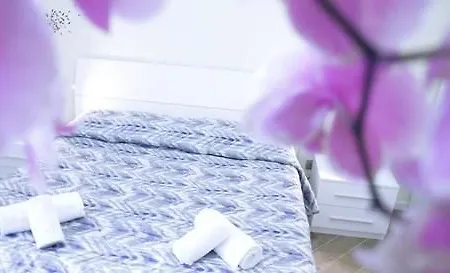 Fleur De Lis Plaza 3*